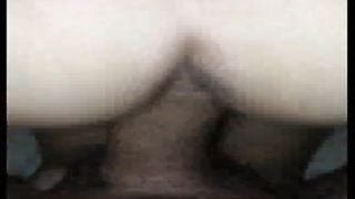 Matura torinese presa alla pecorina