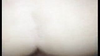 Matura torinese presa alla pecorina