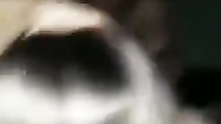 Troia scopata da due cazzoni