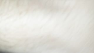 Mi fa cornuto con l amico