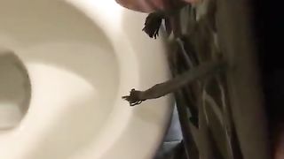 Svuoto il serbatoio nel water