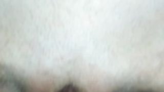 Mia moglie con la micia pelata