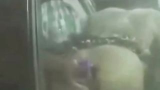 Sesso sull'auto in corsa