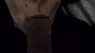 Una bella leccata di cazzo al mattino!