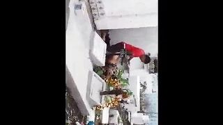 MOGLIE ITALIANA INCULATA DA BARBONE IN UN CIMITERO