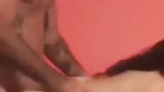 Pecorina con una troia da night club