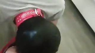 Schiavo sottomesso lecca (dialoghi)