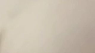 Una vibrante pecorina