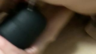 Una vibrante pecorina