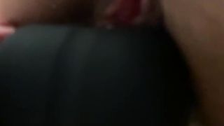 Una vibrante pecorina