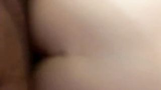 Una vibrante pecorina