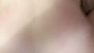 Una vibrante pecorina