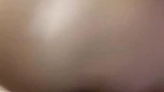 Una vibrante pecorina