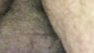 Aspettando il mio bull