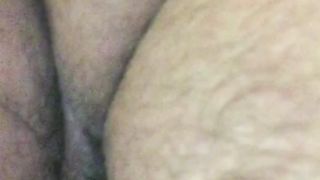 Aspettando il mio bull