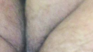 Aspettando il mio bull