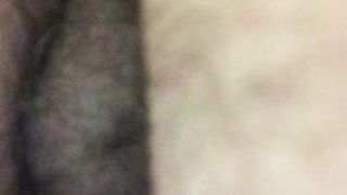 Aspettando il mio bull