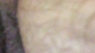 Aspettando il mio bull