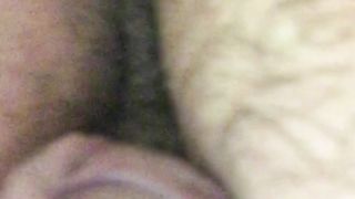 Aspettando il mio bull