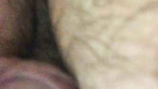 Aspettando il mio bull