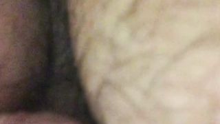 Aspettando il mio bull