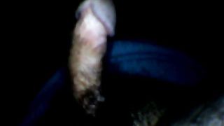 Il mio cazzo esibito di notte
