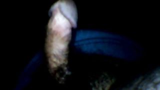 Il mio cazzo esibito di notte