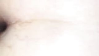 Messa a pecora e trapanata a dovere