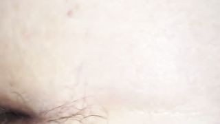 Messa a pecora e trapanata a dovere