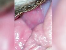 Leccata di figa con fantastica squirtata