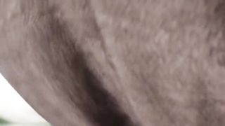 Durante la pausa pranzo...