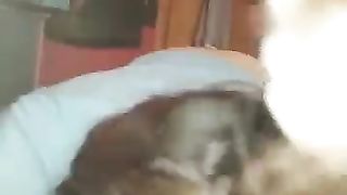 Maliziosa ragazza coi codini succhia