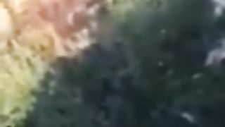 SONO LA TUA PUTTANA IO