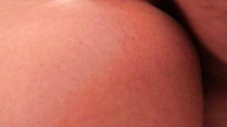 Rosa scopata a pecorina