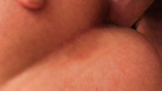 Rosa scopata a pecorina