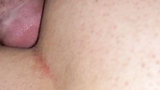 Inculata a pecorina 2a parte