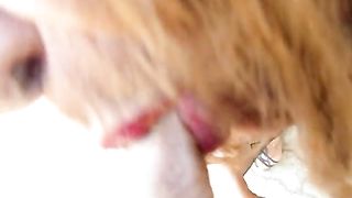 Un pompino al Padrone prima di iniziare la seduta...