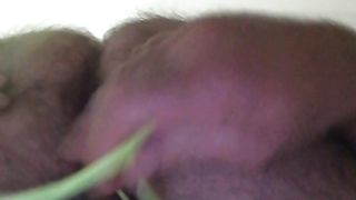 Io e la pallina in culo