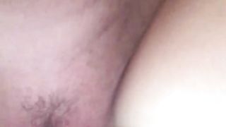 Rosa, vecchia amica inculata a pecorina