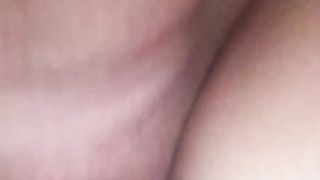 Rosa, vecchia amica inculata a pecorina