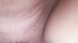 Rosa, vecchia amica inculata a pecorina