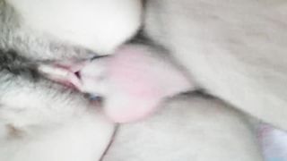 Il suo cazzo nella mia passera