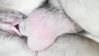 Il suo cazzo nella mia passera