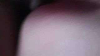 A pecora dopo la succhiata...