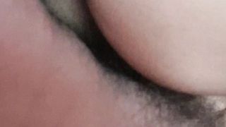 A pecora fino in fondo