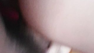 A pecora fino in fondo