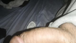 Il mio bel cazzone chi lo vuole???