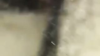 Finalmente inculo Cinzia