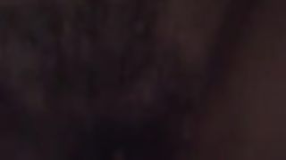 Inculata a pecora...