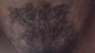 Inculata a pecora...